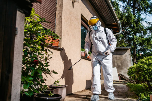 Best Local Pest Control Services  in Ocala Estates, FL