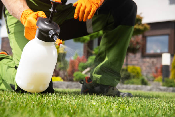 Best Cockroach Control Services  in Ocala Estates, FL