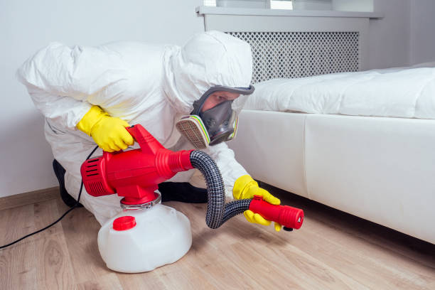 Best Wasp Removal Services  in Ocala Estates, FL