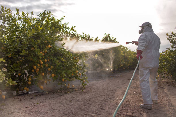  Ocala Estates, FL Pest Control Pros