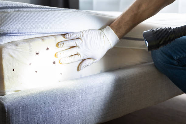 Best Pest Prevention Services  in Ocala Estates, FL