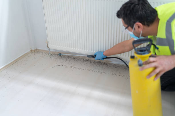 Best Pest Control Near Me  in Ocala Estates, FL