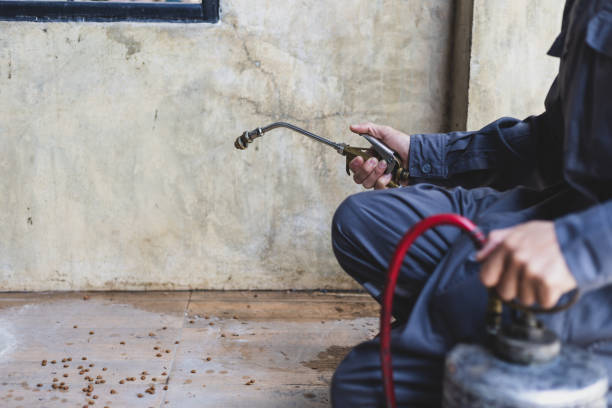 Best Pest Control Near Me  in Ocala Estates, FL