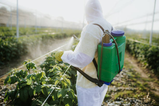 Best Bed Bug Extermination  in Ocala Estates, FL